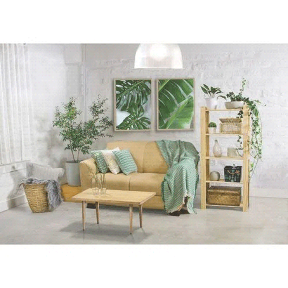 estante-5-ambiente blank